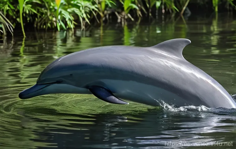 베네수엘라에서 볼 수 있는 희귀 동물 - **Prompt:** A close-up, highly detailed image of a tiny, vibrantly colored Harlequin Frog nestled am...