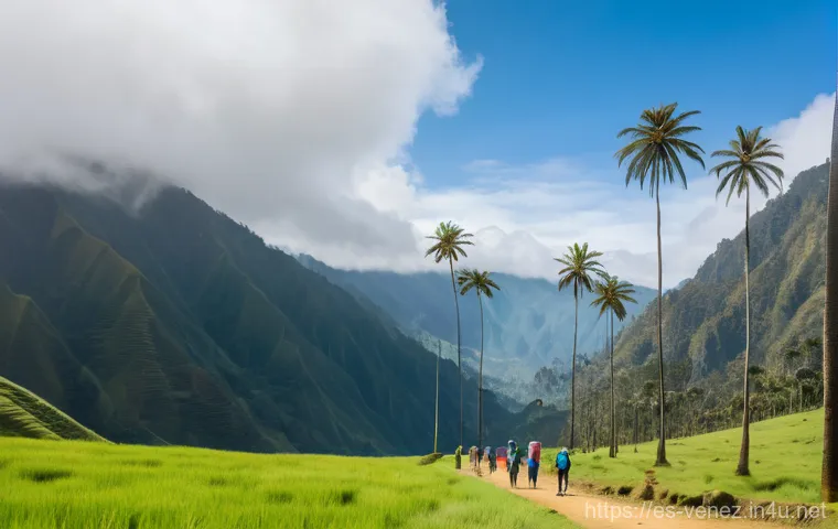 베네수엘라 관광 vs 콜롬비아 관광 - Prompt 1: Majestic Wax Palms of Cocora Valley** 베네수엘라 관광 vs 콜롬비아 관광 - Prompt 1: Majestic Wax Palms of Cocora Valley**